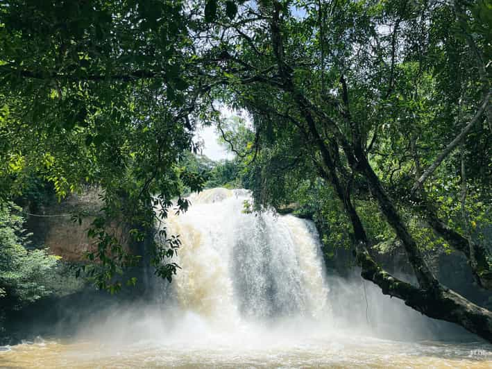 Khao Yai: Private Custom Tour With Driver From Bangkok - Important Considerations