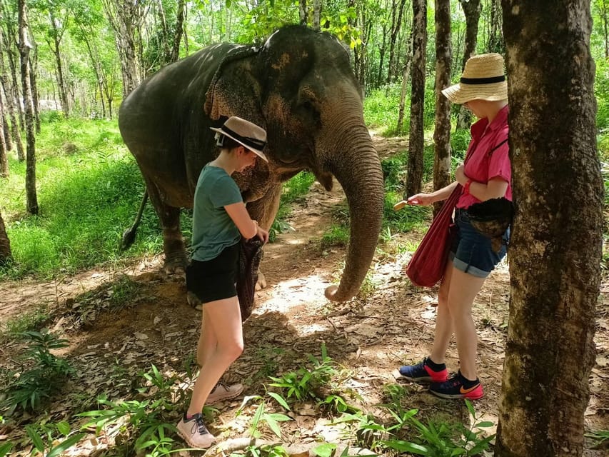 Khaolak: Elephant Sanctuary Guided Tour With Hotel Transfers - Customer Feedback