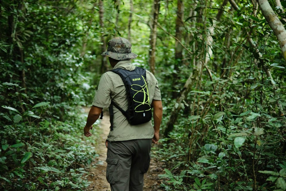 Khlong Sok: Khao Sok Waterfalls and Wildlife Half-Day Trek - What to Bring