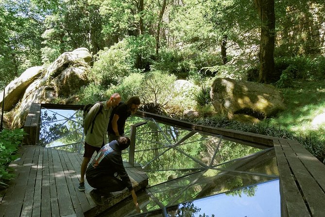 Know Sintra Through the Eyes of a Local Archeologist Private Tour - Convenience and Exclusivity