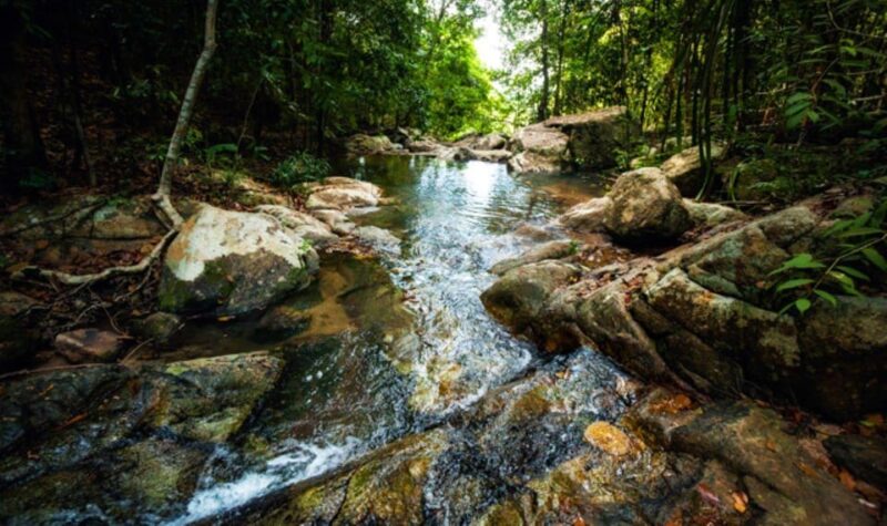 Koh Phangan: Private Land Tour With Snorkeling - Snorkeling and Optional Activities
