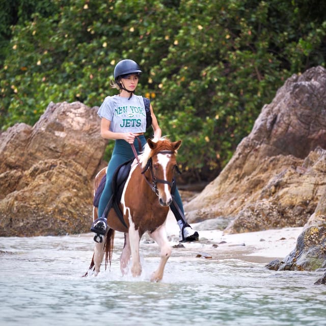 Koh Samui Horse Riding & Beach Trails - Customer Feedback