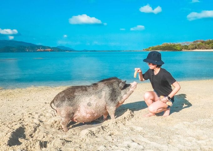 Koh Samui: Koh Madsum and Koh Tan by Private Longtail Boat. - Customer Feedback