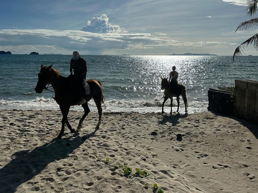 Koh Samui: Sunset Trail Horse Riding on The Beach - Riding Control