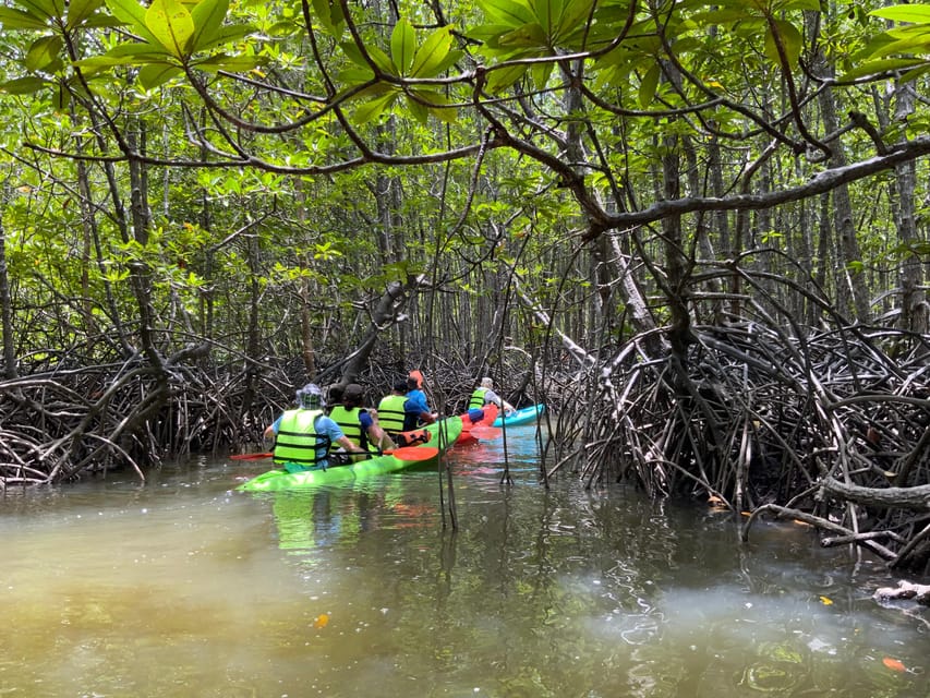 Koh Yao Yai: Klong Hia Mangrove Kayaking - Exclusions