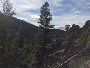 Kokopelli Inn - Amenities and Features