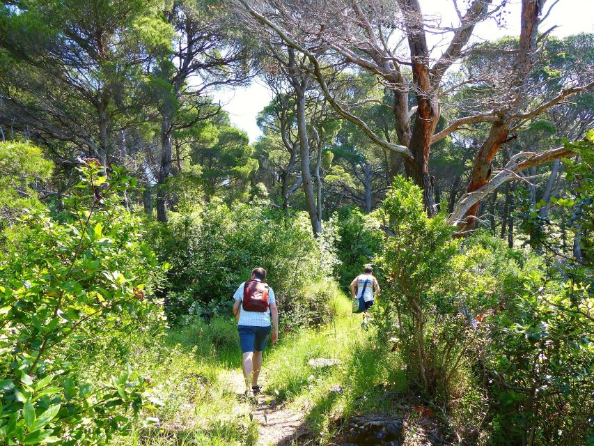 Kolocep Island: Hiking & Swimming Day Trip - Weather and Cancellation Policy