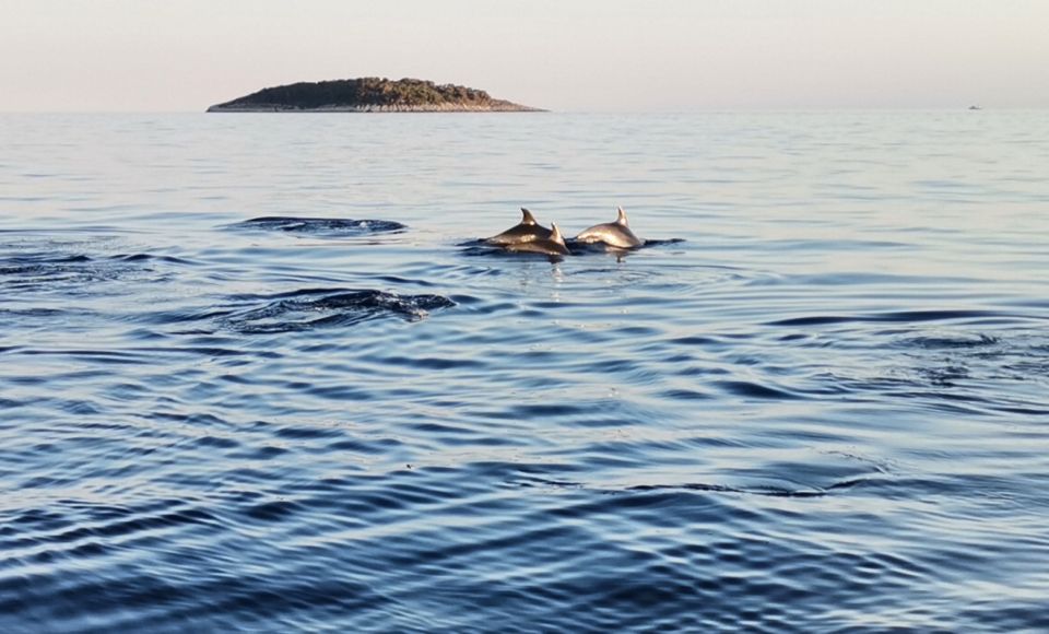 Kornati National Park - Booking and Payment Details