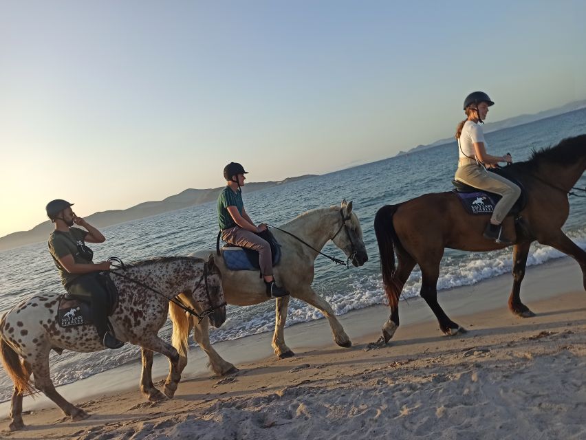 Kos: Horse Riding Experience on the Beach With Instructor - Booking and Availability