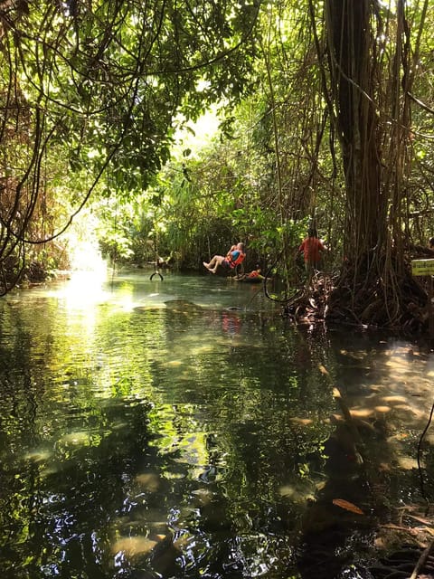 Krabi: Amazon Klong Srakaew Kayaking And Elephant Feeding - Booking Information