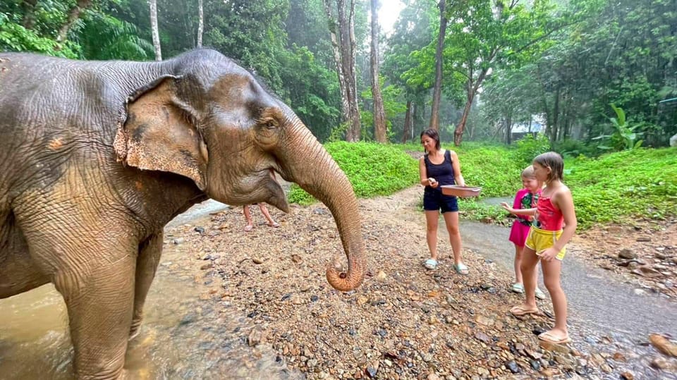 Krabi: Ethical Elephant Care Experience With Hotel Transfer - Preparation and Recommendations