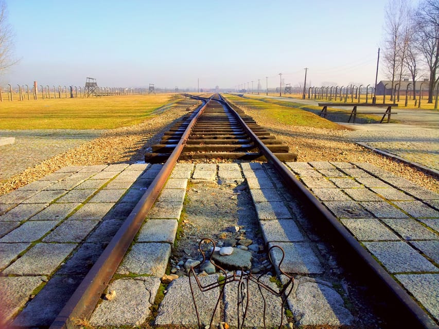 Krakow: Auschwitz-Birkenau Memorial Tour With Optional Lunch - Customer Reviews and Ratings