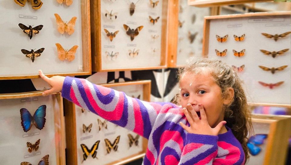 Krakow: Living Butterflies Museum - Visitor Tips