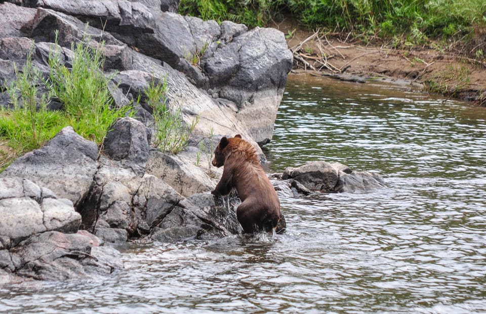 Kremmling: Upper Colorado Half-Day Guided Float - Free Cancellation