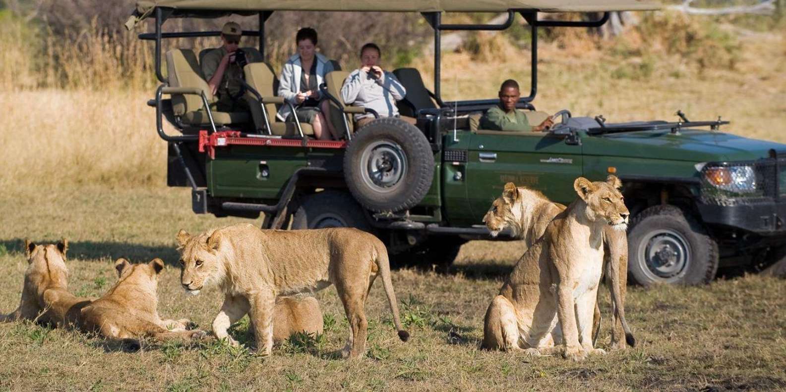 Kruger Park & Blyde River Canyon 4DAY Safari Fr Johannesburg - Inclusions and Accessibility