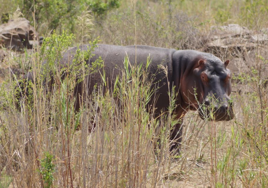 Kruger Park Safari From Maputo - Preparation and Packing