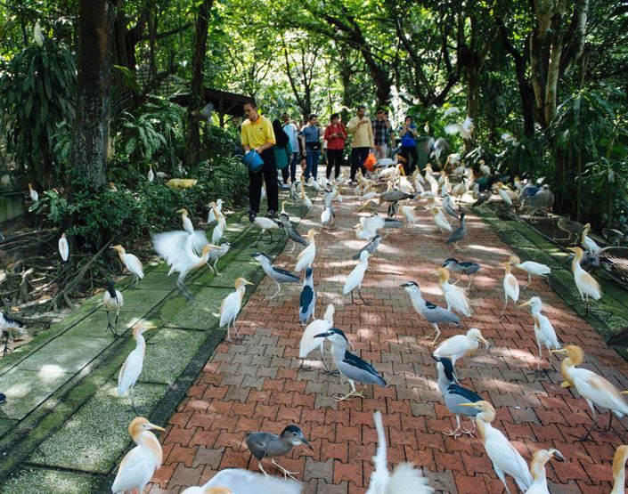 Kuala Lumpur: Bird Park, Butterfly & Garden Private Tour - Customer Reviews and Ratings