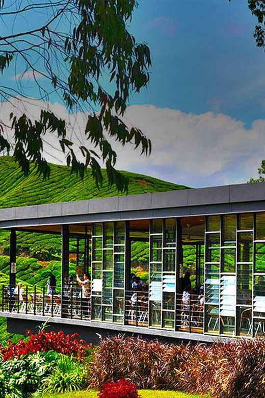 Kuala Lumpur: One-Way Transfer to Cameron Highlands - Travel Experience and Comfort