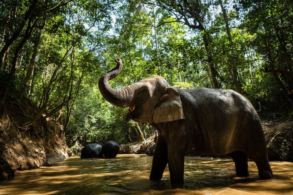 Kulen Elephant Forest and Tonle Sap Lake - Important Travel Information