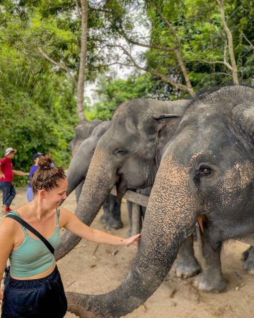 Kulen Elephant Forest Siem Reap in Small Group - Important Information