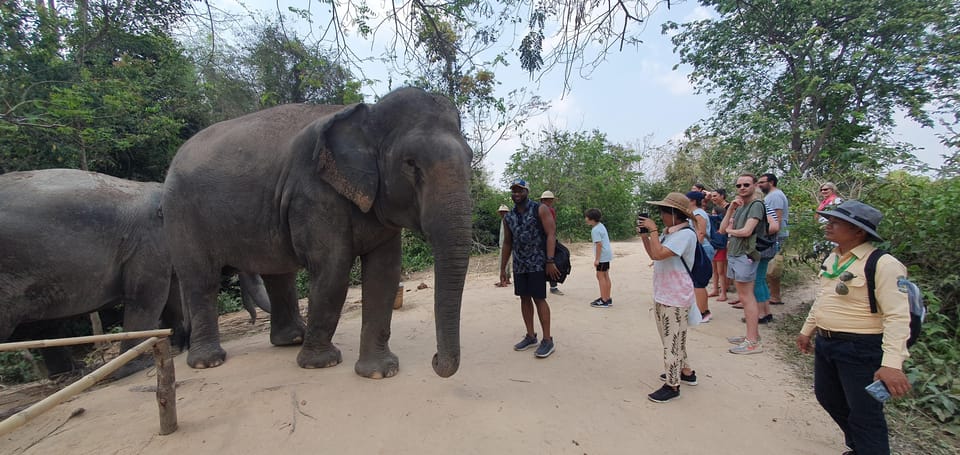 Kulen Elephant Forest & Tonlesap Lake Include Boat /Transfer - Important Information