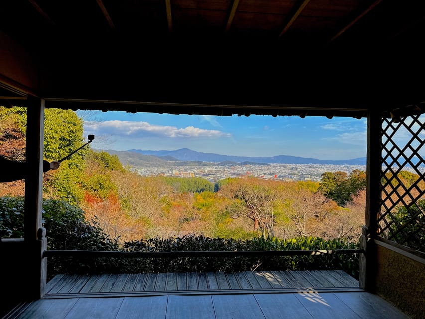 Kyoto: Arashiyama Bamboo Grove, Monkey Mountain Walking Tour - Customer Feedback