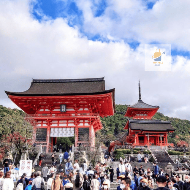 Kyoto: Full Day UNESCO And Historical Sites Private Car Tour - Customization Options