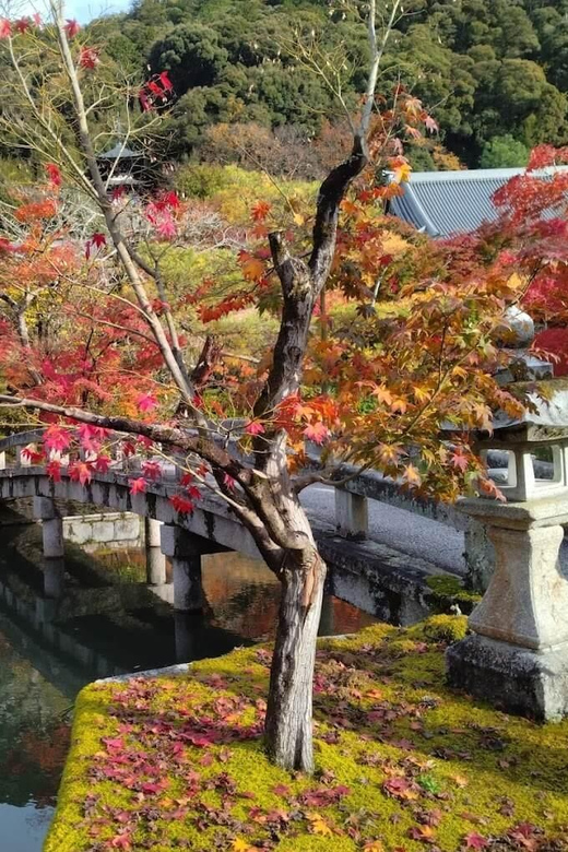 Kyoto: Higashiyama Hues: Discover Kyotos Autumn Magic - What to Bring and Prepare