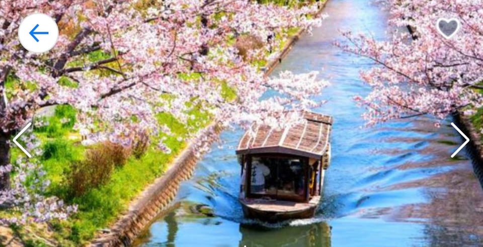 Kyoto: Highlight Tour With English-Speaking Driver - Transportation Comfort