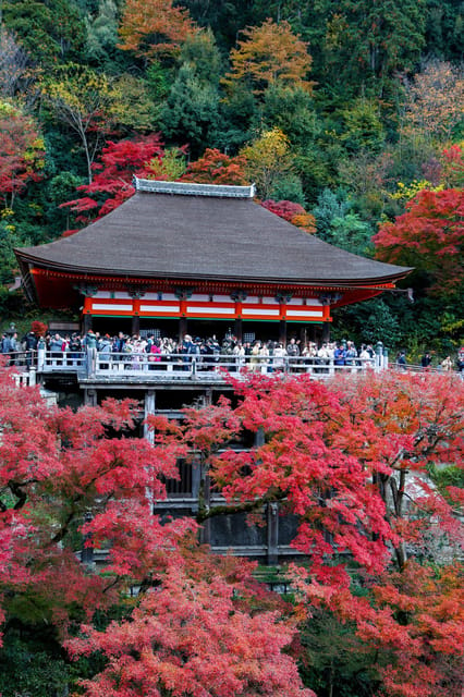 Kyoto/Osaka: Kiyomizu-dera Temple,Nara Park Day Trip - Luggage Guidelines