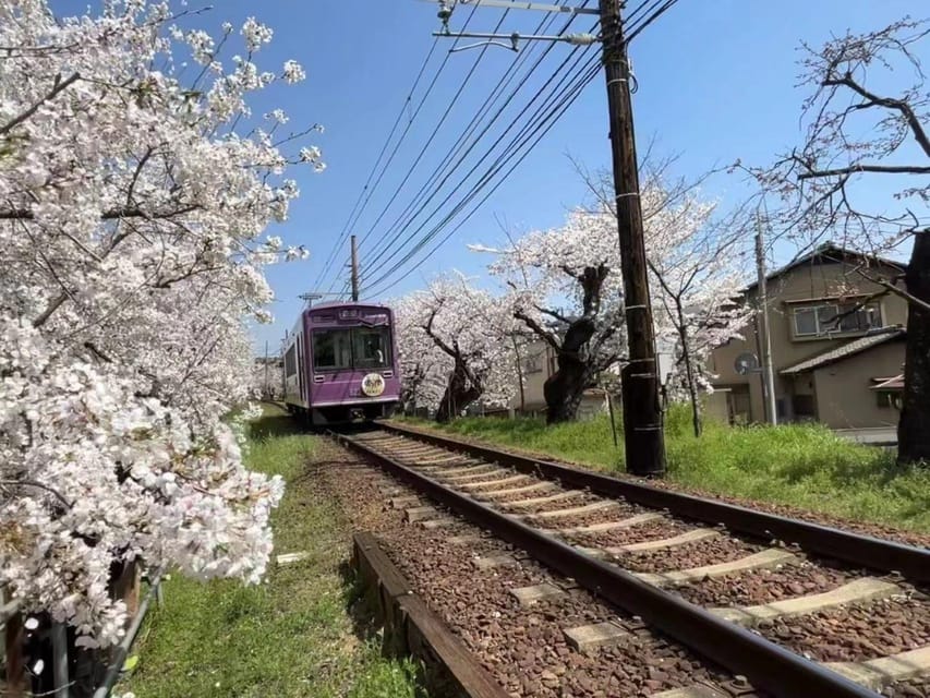 Kyoto/Osaka: Sanzen-in and Arashiyama Day Trip - Optional Activities