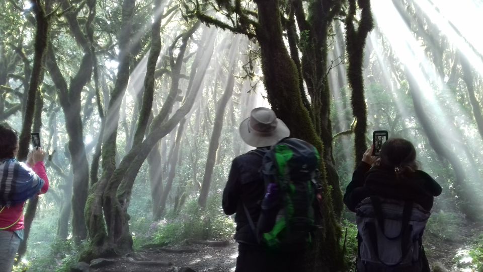 La Gomera: Garajonay National Park Forest Walk - Frequently Asked Questions