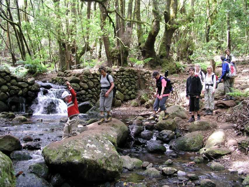 La Gomera: the Rain Forest (National Park) - Customer Ratings and Reviews