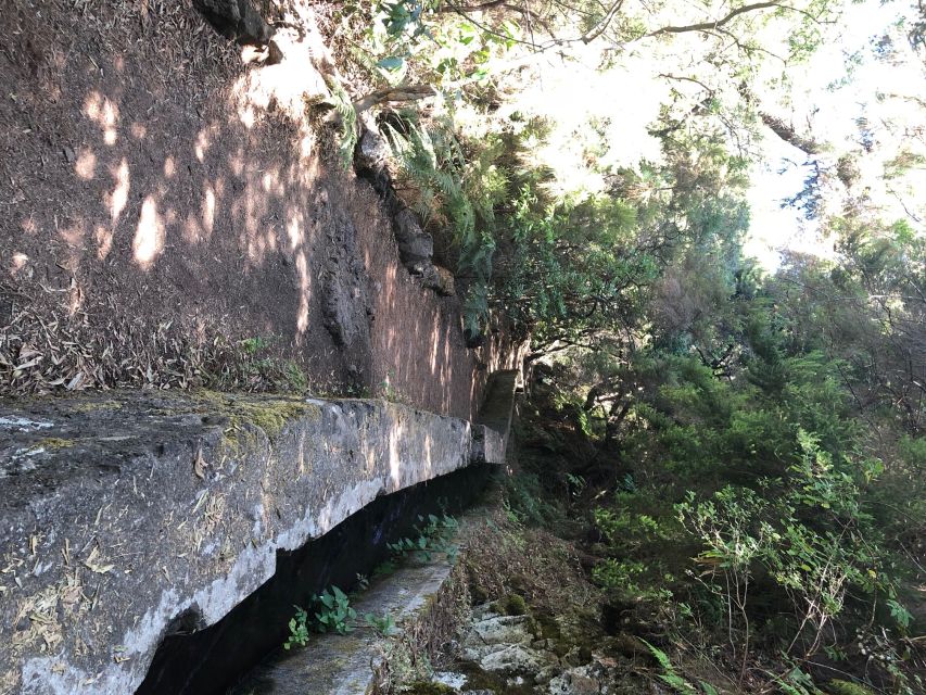 La Palma: Guided Trekking Tour Springs Marcos Y Cordero - Booking Information