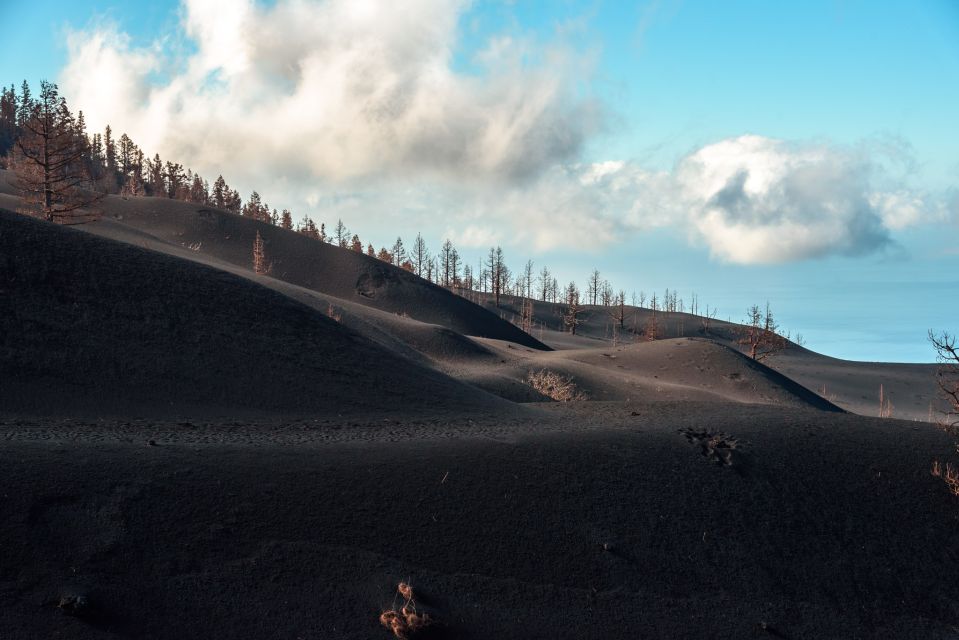 La Palma: Guided Volcano Trekking Tour - Tour Duration and Availability