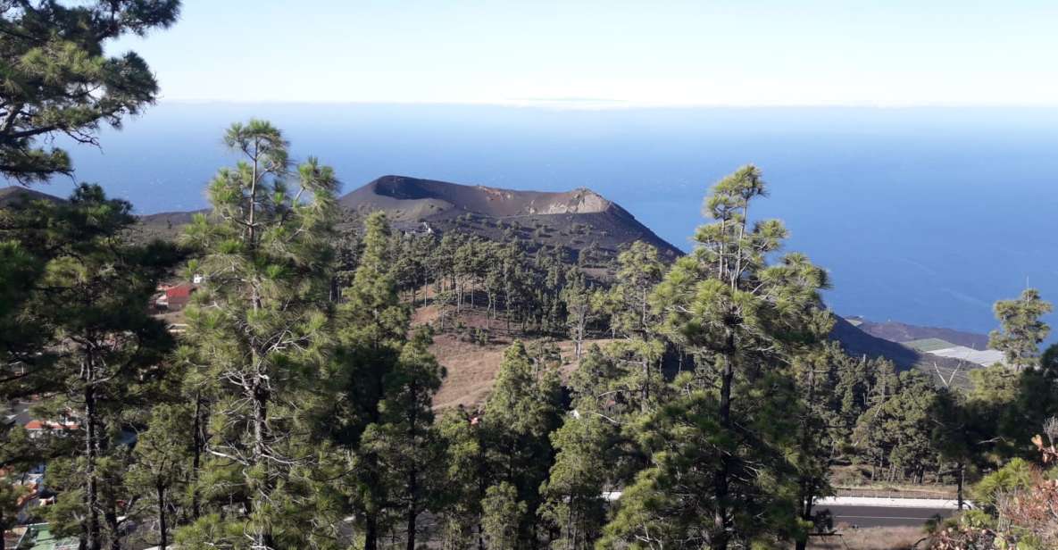 La Palma: South Tour to the Volcanoes by 4x4 Bus - Frequently Asked Questions