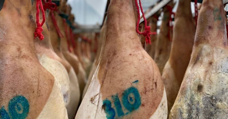 La Rioja: Jamon Iberico Farm Tour and Tasting With Wine - Customer Reviews