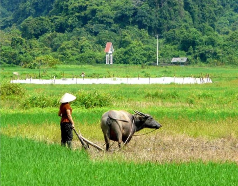 Lan Ha Bay - Cat Ba Island 2D1N Private Boat From Hanoi - Important Information