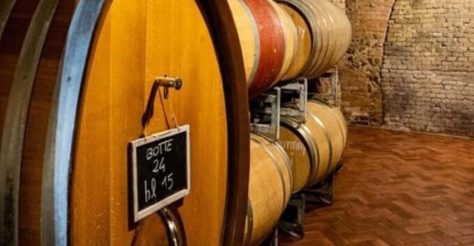 Langhe Wine Tour With a Winemaker - Scenic Views of Piedmont