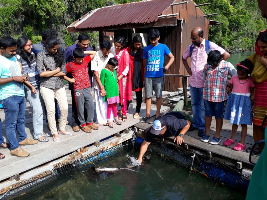 Langkawi: Mangrove Kilim UNESCO Geopark & Cave Tour - Wildlife Encounters and Scenic Views