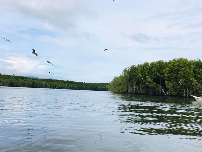 Langkawi: Tanjung Rhu Mangrove Speedboat Tour - Best Time to Visit