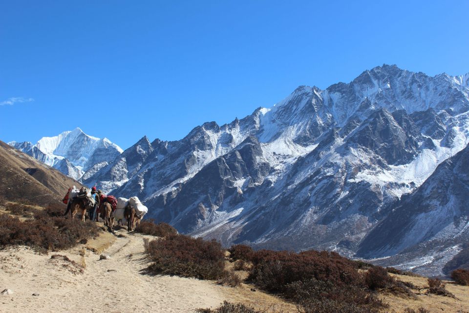 Langtang Valley Trek - 08 Days - Scenic Highlights