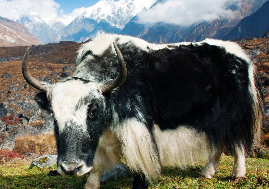 Langtang Valley Trek - Exclusions and Additional Costs