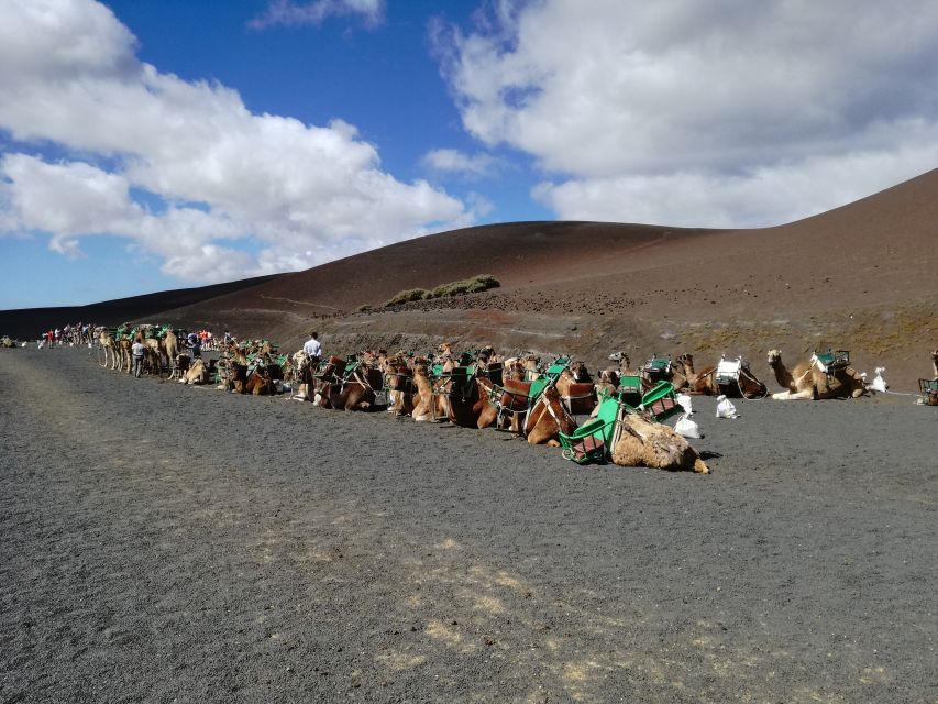 Lanzarote: 5-Hour Timanfaya National Park Southern Tour - Customer Ratings