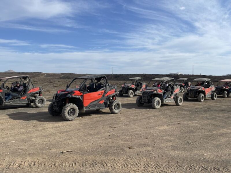 Lanzarote: Guided Can-Am Trail Buggy Tour - Booking Flexibility