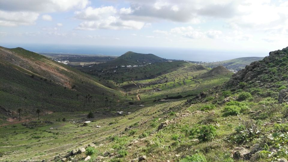 Lanzarote: Northern Cliffs & Valleys Walking Tour - Customer Feedback