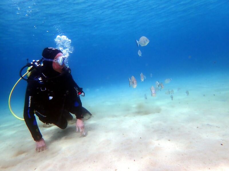 Lanzarote: Small Group Beginner Dive Course Costa Teguise - Marine Life Encounters
