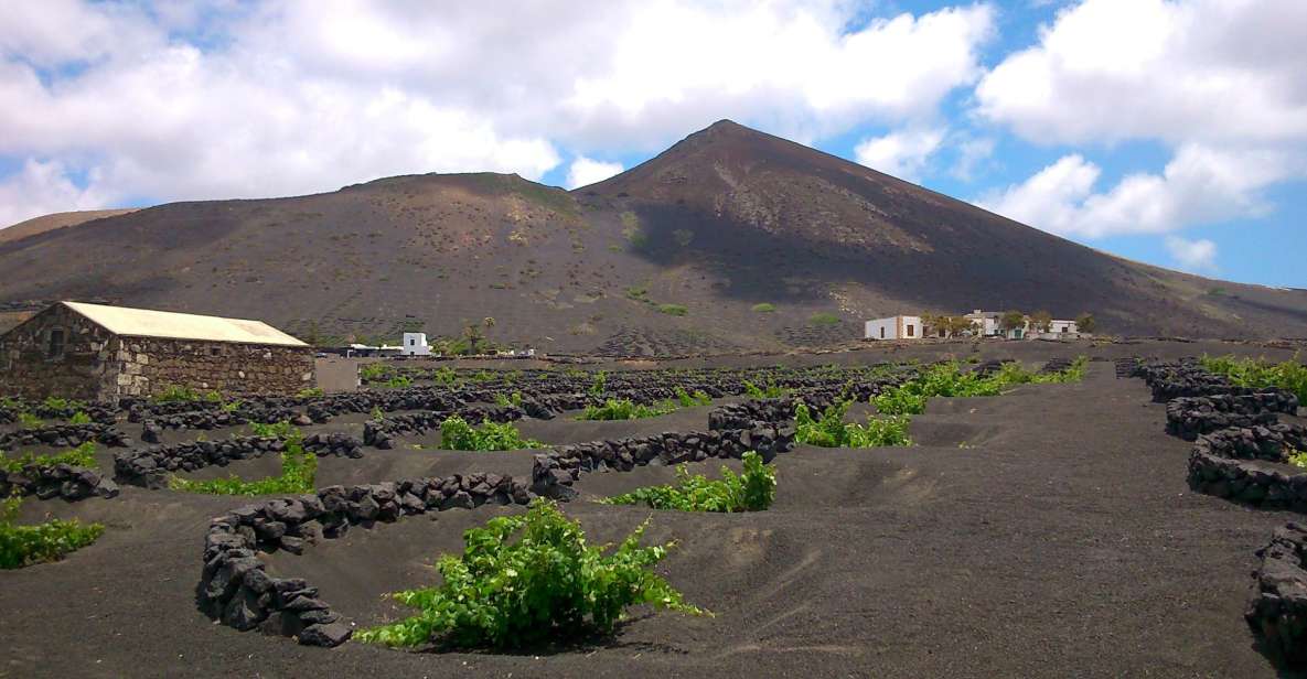 Lanzarote: The Geria Vineyards Hiking Tour - Savoring Malvasia Wine Tasting