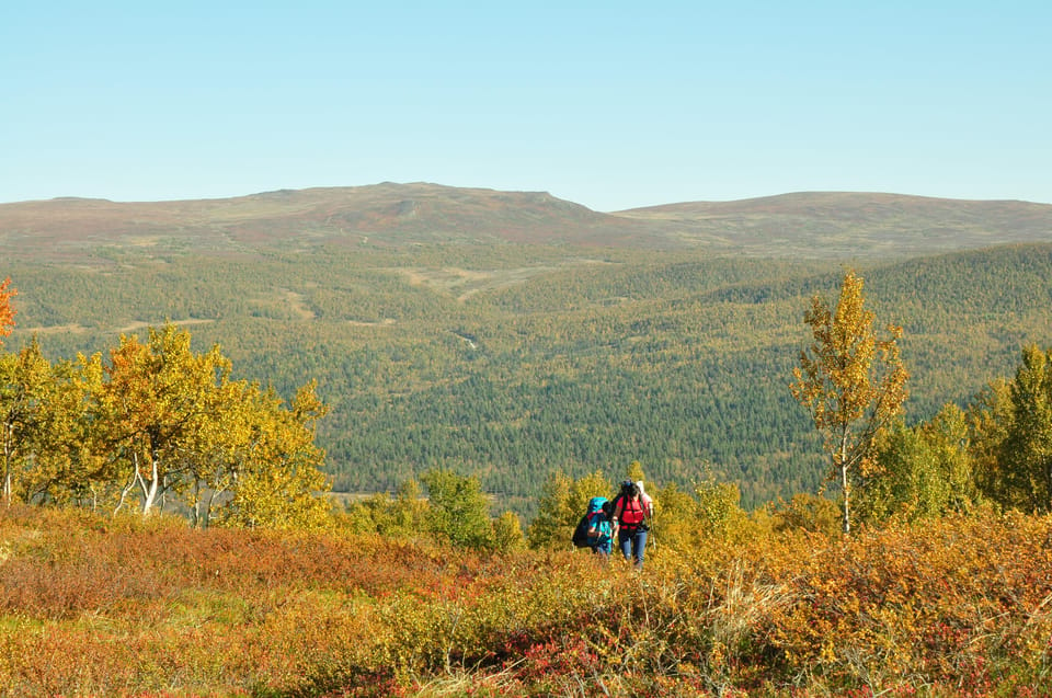 Lapland: Three Day Trekking in the Swedish Highlands - Essential Packing List