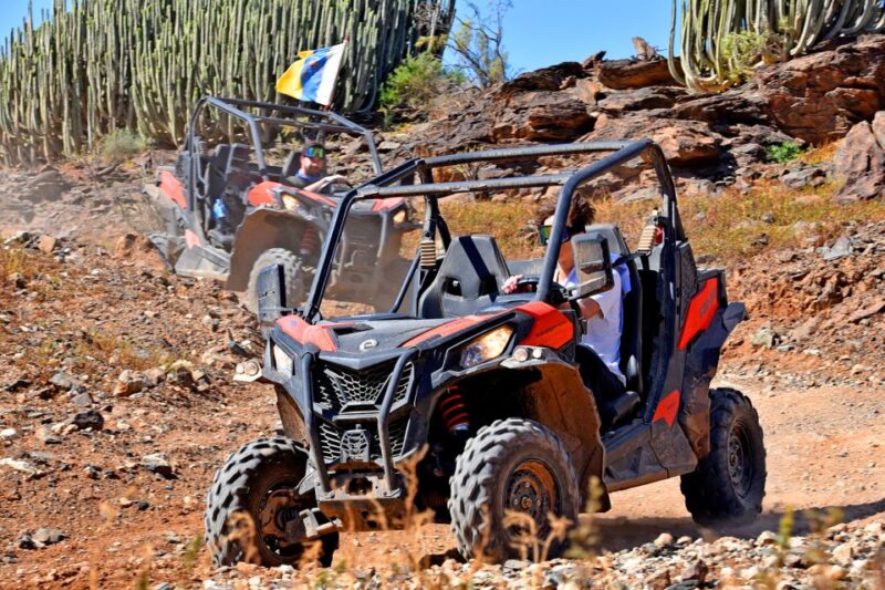 Las Palmas: Gran Canaria Guided Buggy Tour - Booking Process